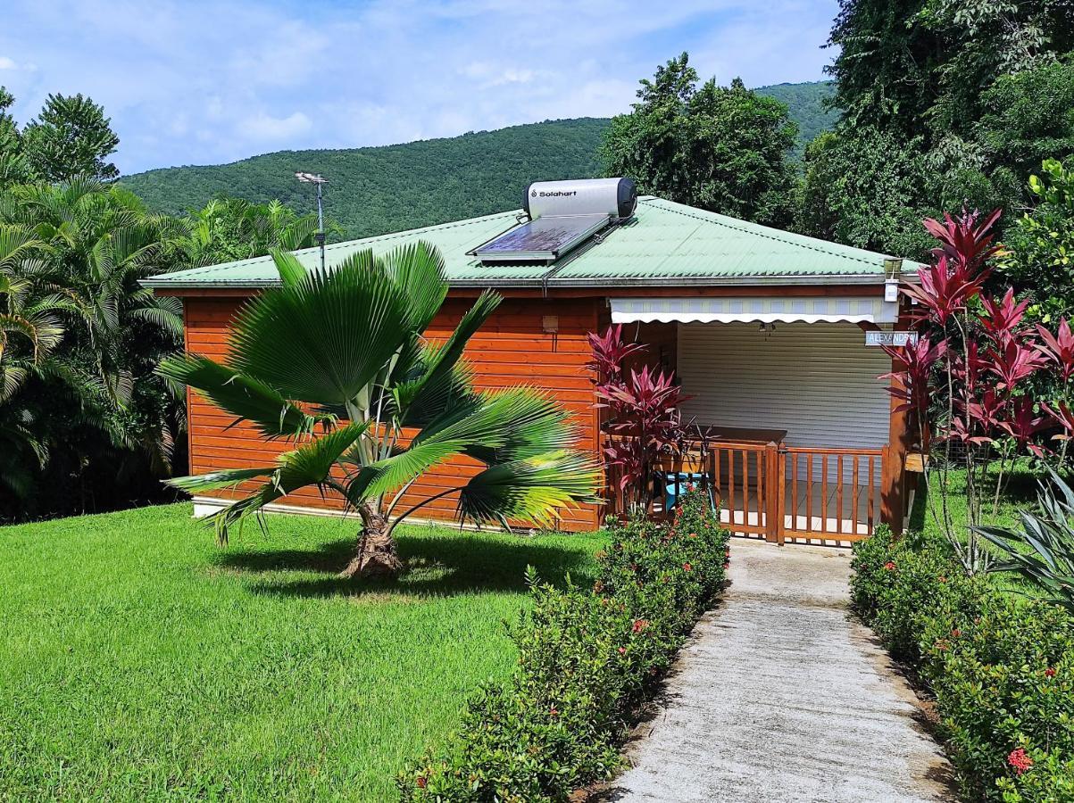Le Tri Haut De Bellevue - Bungalow Colibri Pointe-Noire Esterno foto